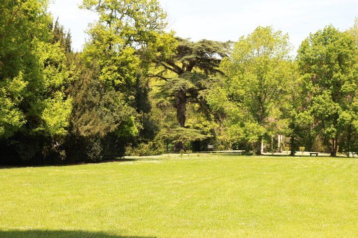 Chateau Castelrives Bessieres Экстерьер фото
