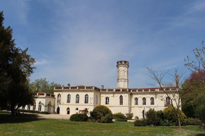 Chateau Castelrives Bessieres Экстерьер фото